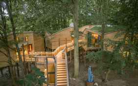 Ein Blick auf die Baumhäuser am Abend - Foto: Gerhard Westrich